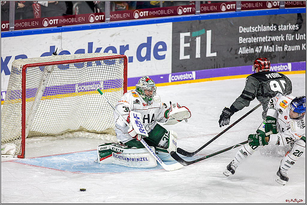 DEL Koelner Haie - Augsburg Panther, 14.09.2018